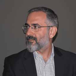 תמונה של שחף ב.